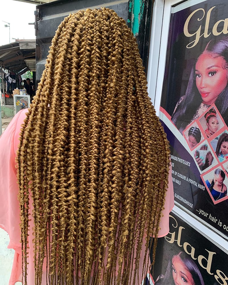 Honey Blonde Butterfly Braids