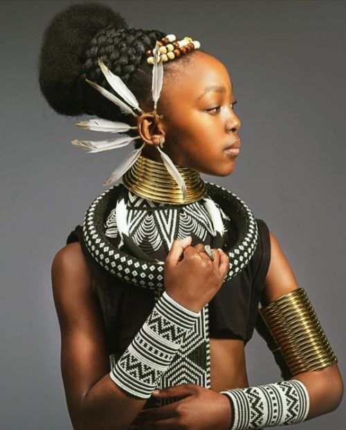 Afro Inspired Braided Hair