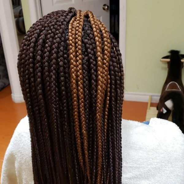 box braids with brown highlights