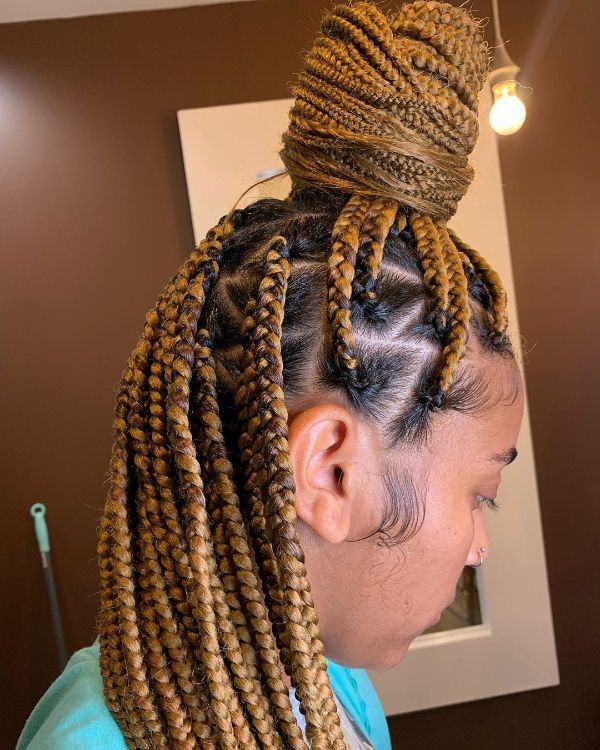 Box Braids Updo