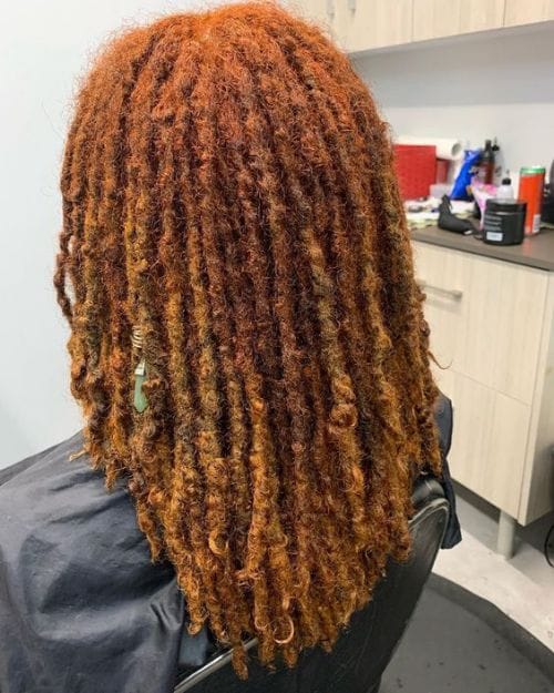 Starter Locs by Backcombing