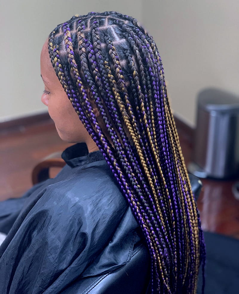 Multi-Colored Knotless Box Braids