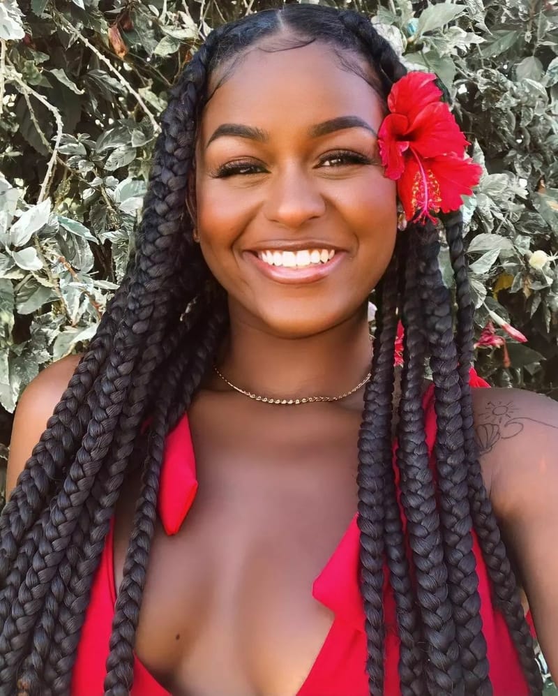 Large Black Braids