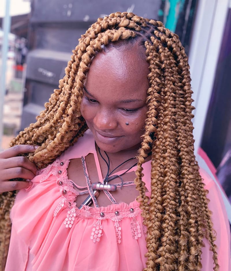 Butterfly Braids