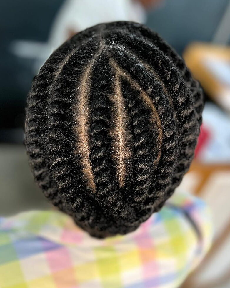 Protective Flat Twist Styles