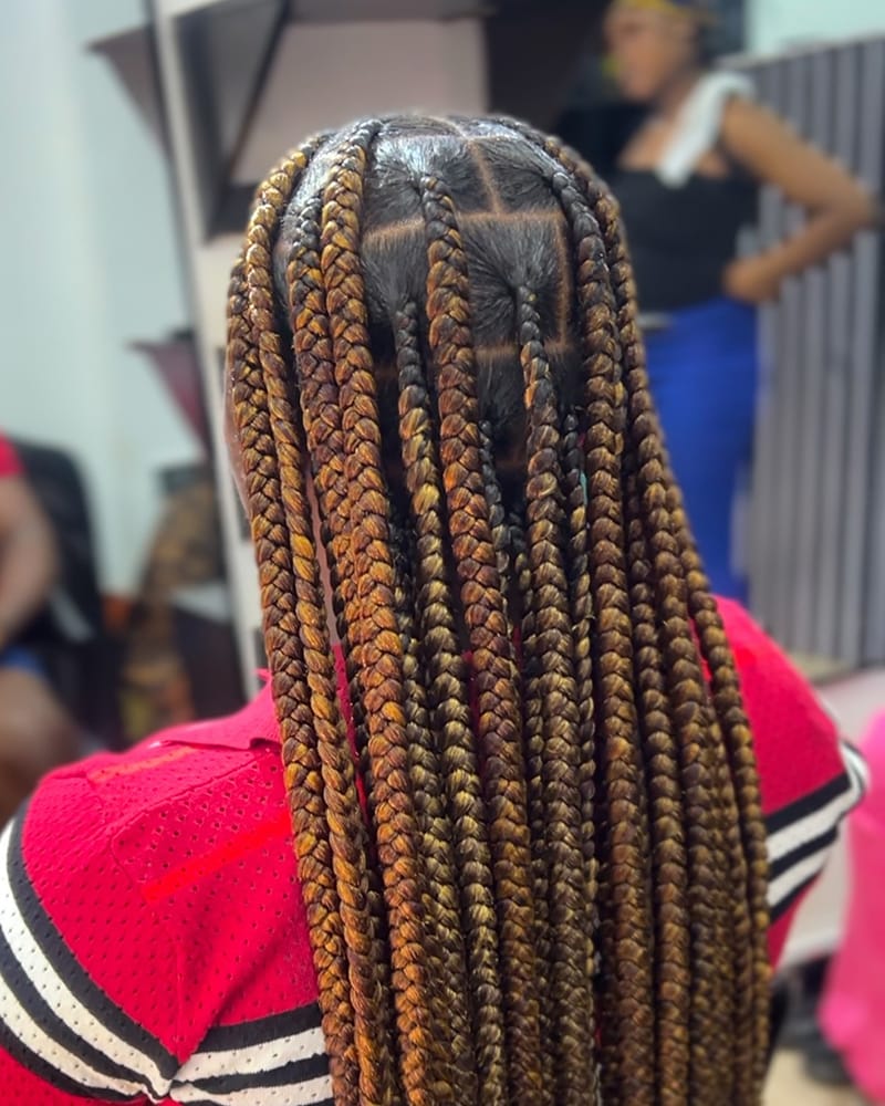 Jumbo Braids Style to Protect Your Natural Hair