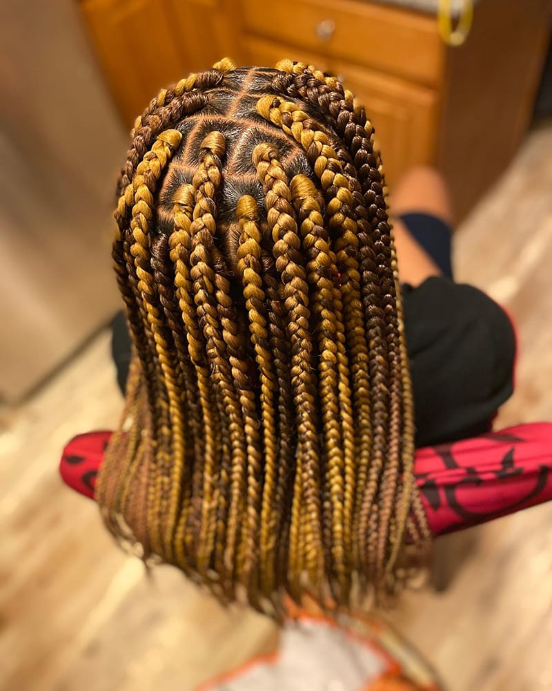 Jumbo Braids Style to Protect Your Natural Hair