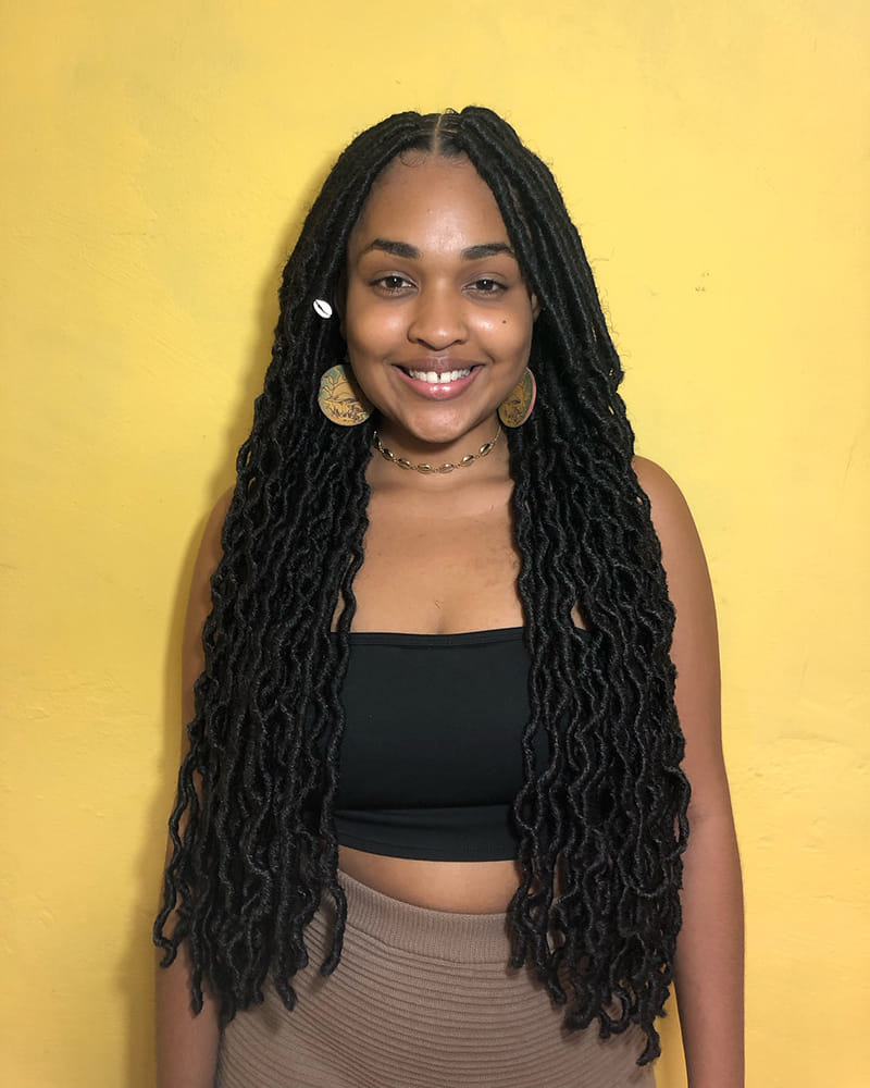 Protective Faux Locs