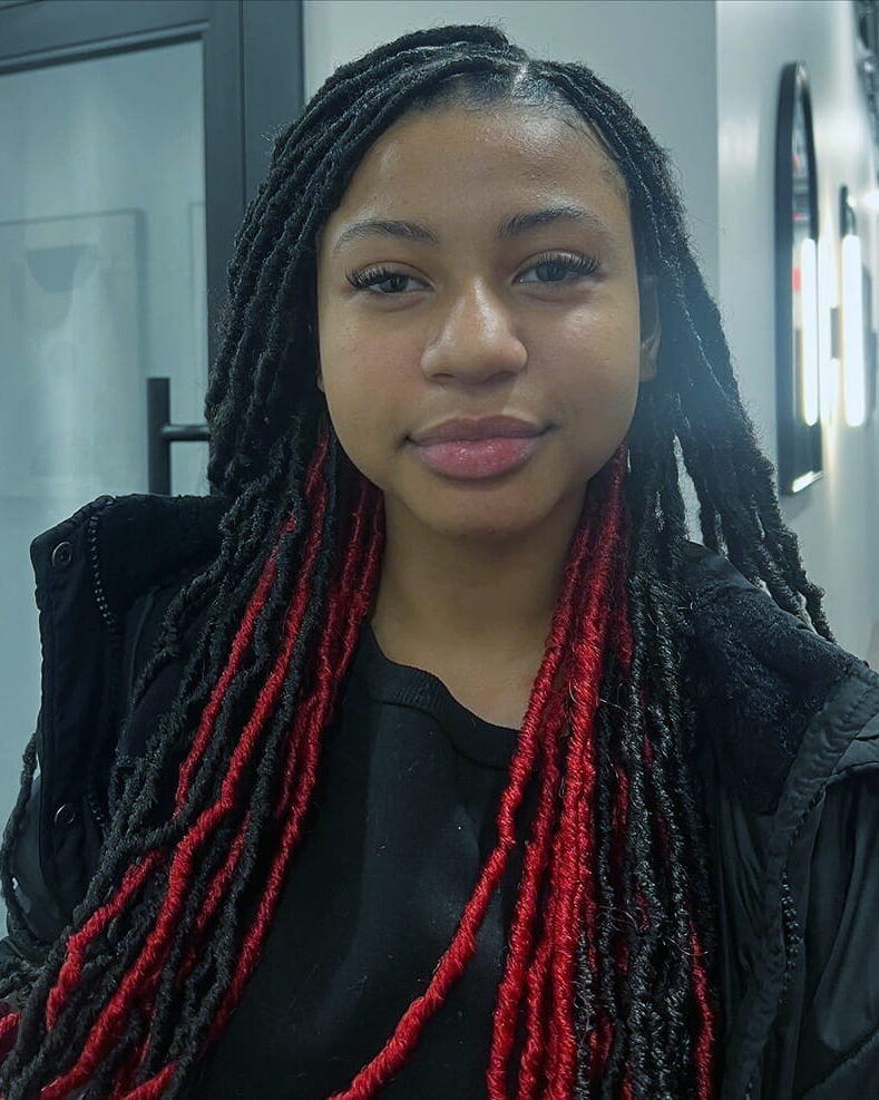 Protective Faux Locs
